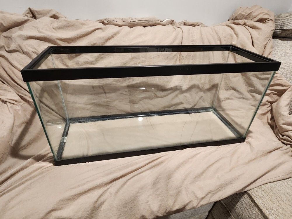 Fish aquarium and accessories 