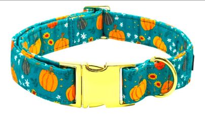 NEW! Large Pet Dog Collar Fall Pumpkin Print, Gold color Metal (Width: 1.2" Length: 16-24")