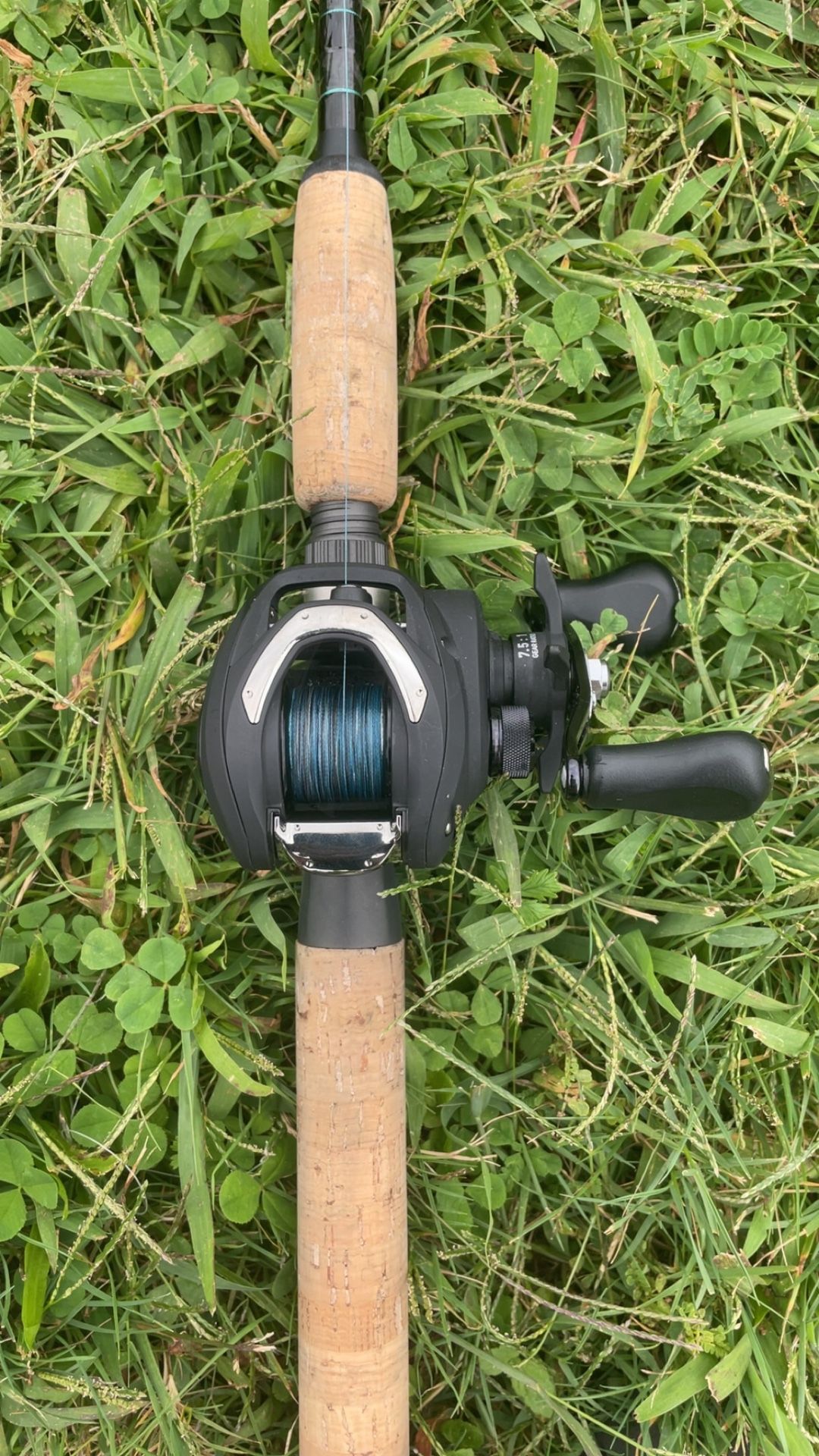 Diawa Baitcaster Fishing Rod