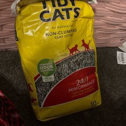 Cat Litter 