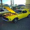 Mustang guy