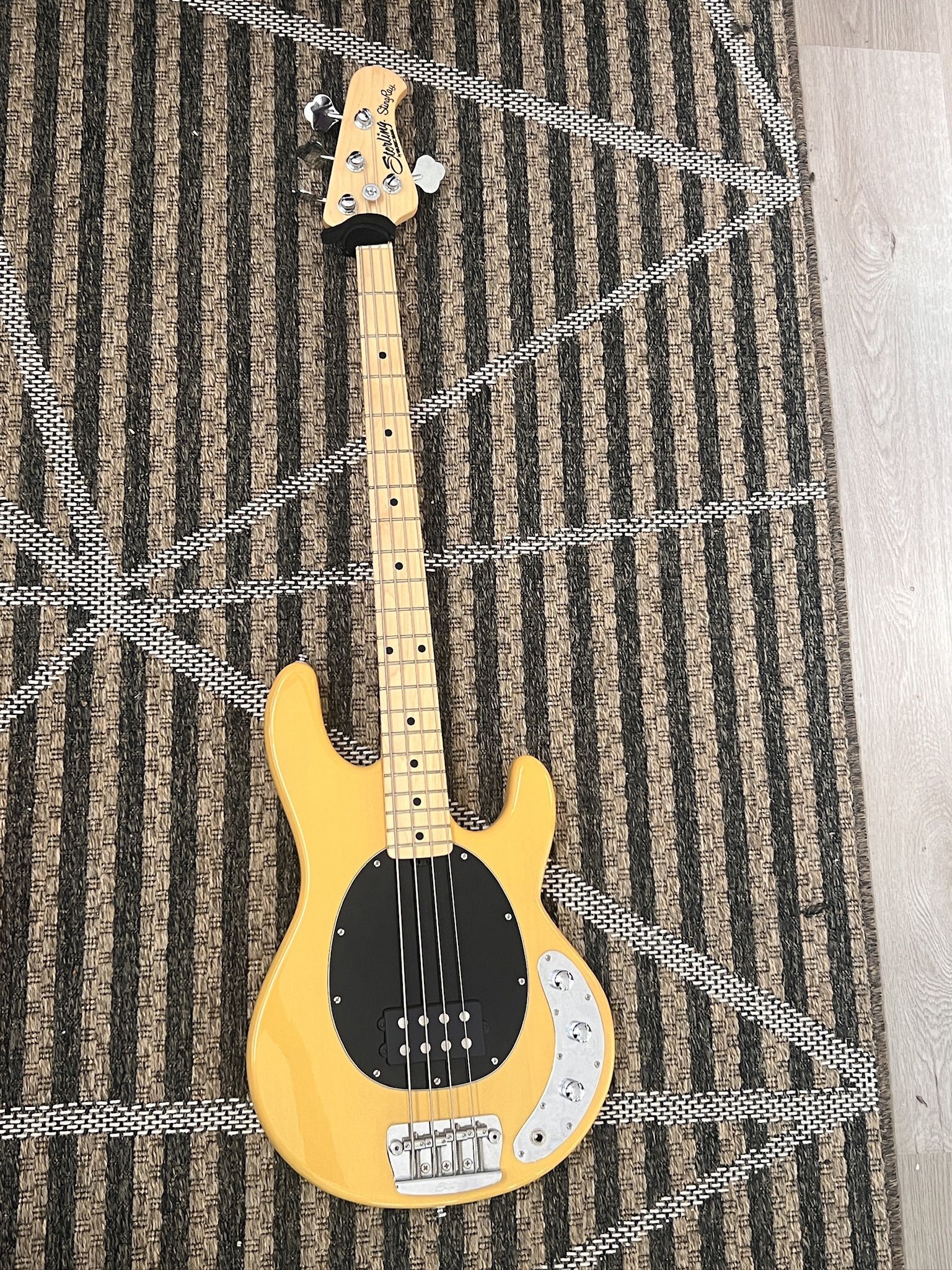 4 String Bass. Sterling Stingray