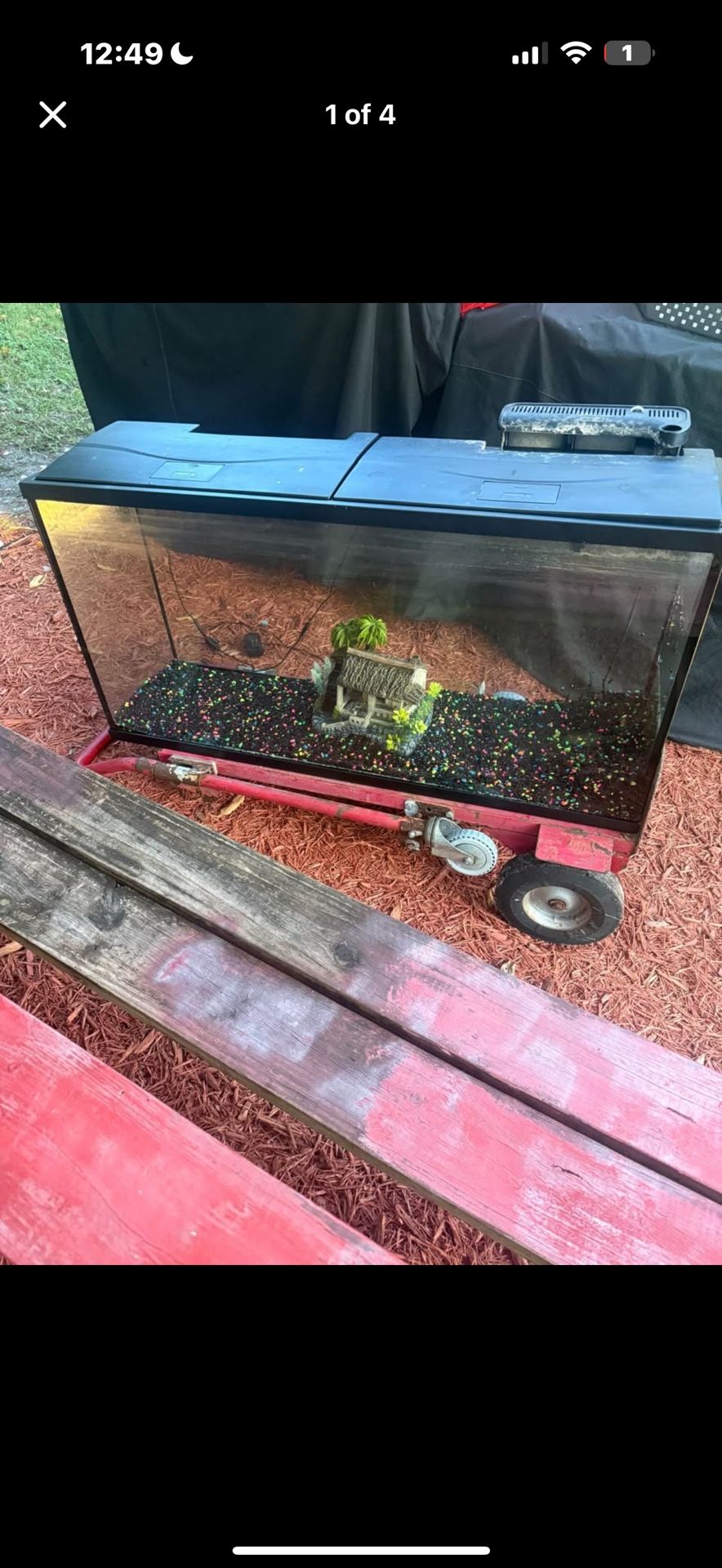 55 gallon fish tank with everything included