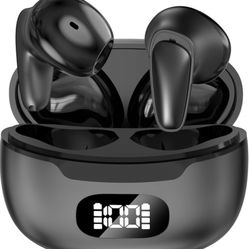 Language Translation Earbuds 