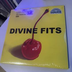 Divine Fits - A Thing Called Divine Fits vinyl