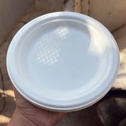 Platos Planos 