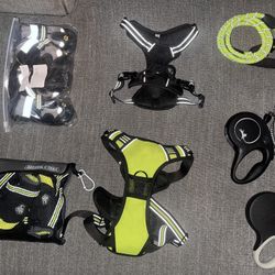 Dog Leash, Harness and Shoes