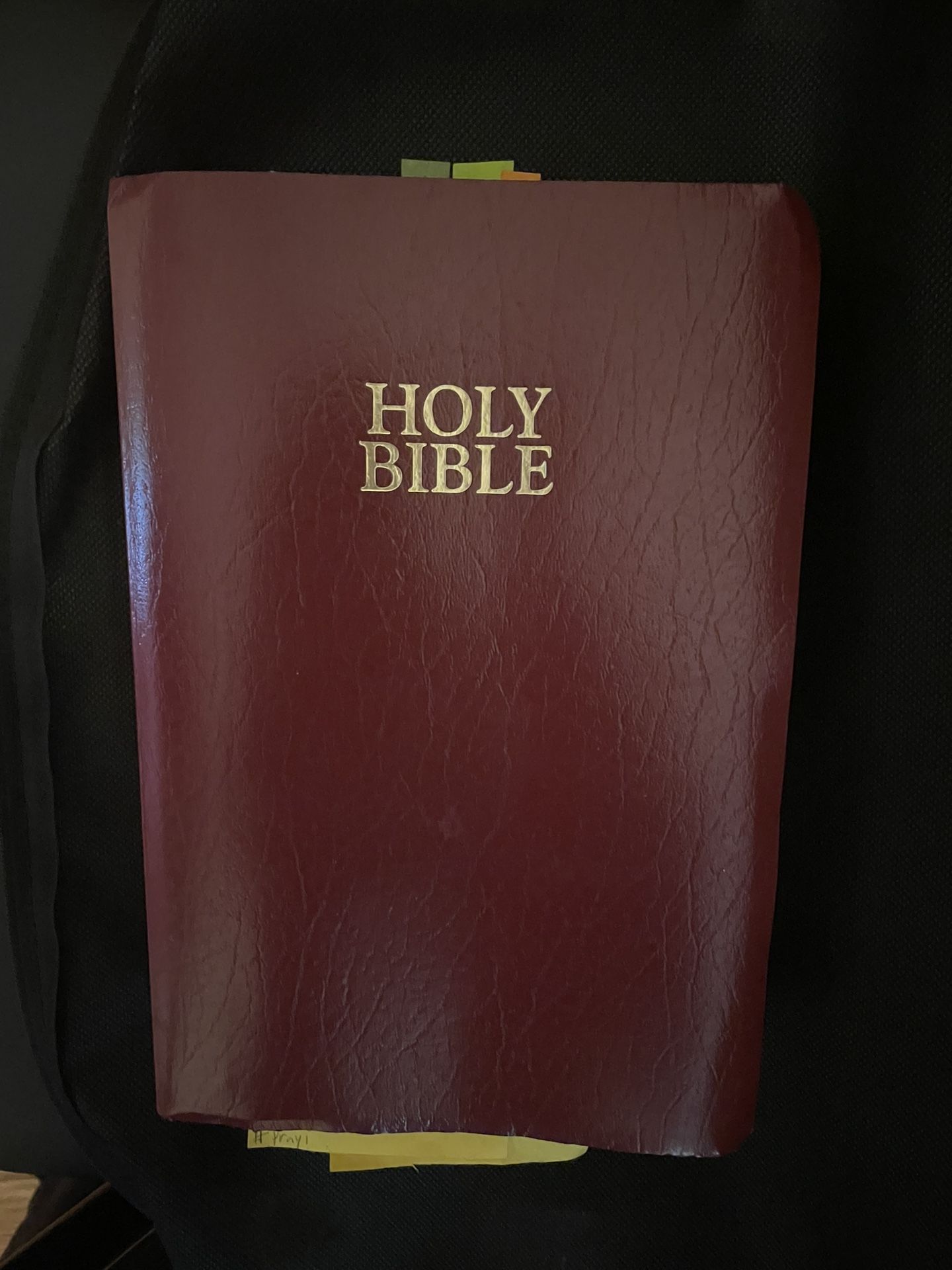 Holy Bible KJV