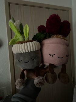 Plush plants