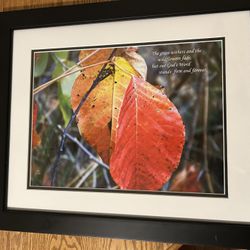 Photo Wall Art - All 4 Or Individually 