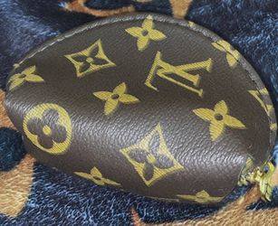 coin bag