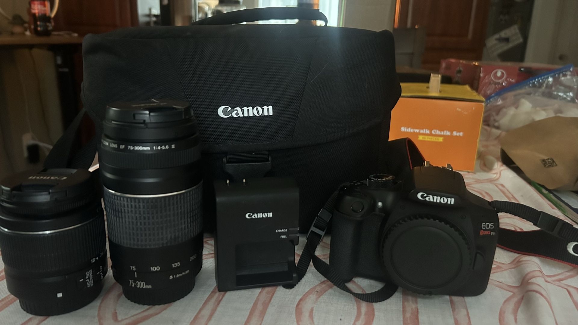 Canon EOS Rebel T6 Digital SLR Camera Kit
