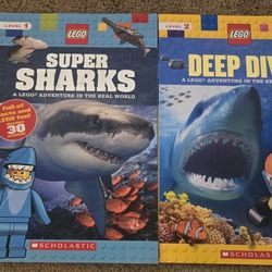Lego Children's Book Bundle