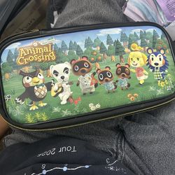 Nintendo Cases 