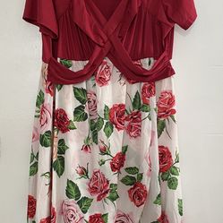 Plus Size Women Dress 