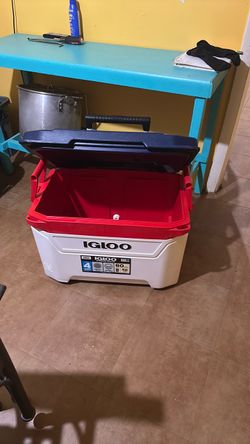 Cooler