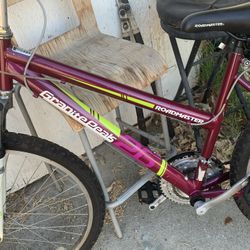 Like Me Bike Only 40 Assis