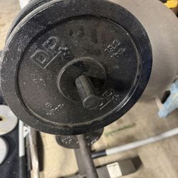 Free Weights