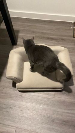 PET COUCH BED *gently used*
