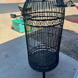 Bird Cage 