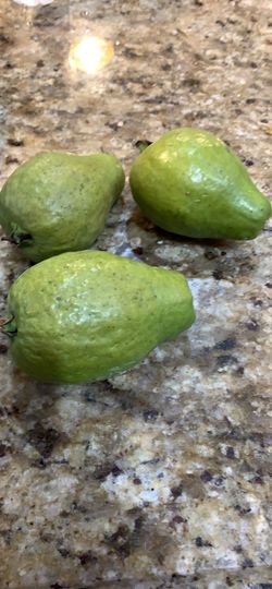 Guavas for sale guayabas rojas a la venta 3 por 1 dollar