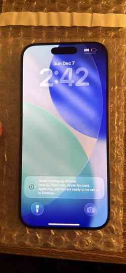 iPhone 15 Pro 256 GB Silver Unlocked 