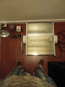 Grow Lights And Timers