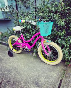 ELECTRA WATER LILY KIDS BIKE 16” Wheels
