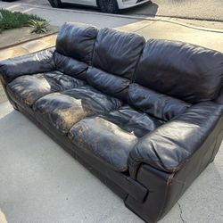 Free Couches