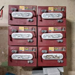 6 T-105 Trojan Batteries