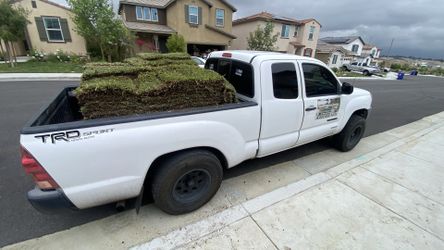 St Augustine Grass Installation