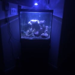 30gal Cube Fish Aquarium And Stand