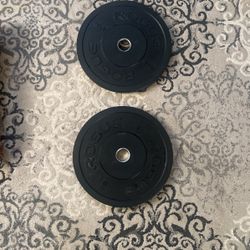 10Lb Rogue Bumper plates