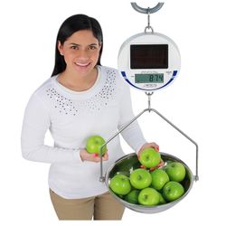 Detecto scs30 Digital Solar Hanging Scale, 30 lb. / 15 kg Capacity, Includes Pan and Bow