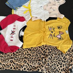 Girls Toddler Clothes Bundle