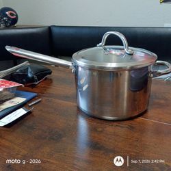 Stainless Steel Saucepan with Glass Lid