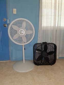 two fans