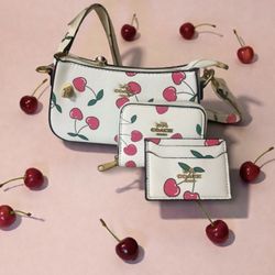 Coach Cherry Purse And Wallet Set