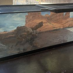 Aquarium 4 Ft x 15 + Accessories Inches $80 OBO