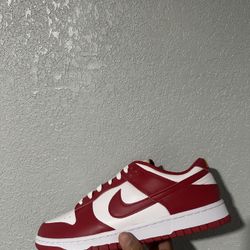 USC Dunk Low 