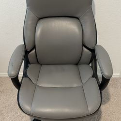 Executive Office Chair + Cushion Lab Seat Cushion – Excellent Condition