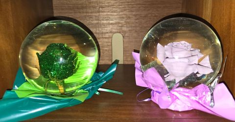 Fresh roses in glass globes & water that last forever Parma