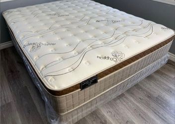 Full Organic Cloud Europillow Top 12inch Matres andboxspring