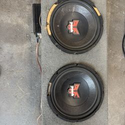 Bass Speaker 
