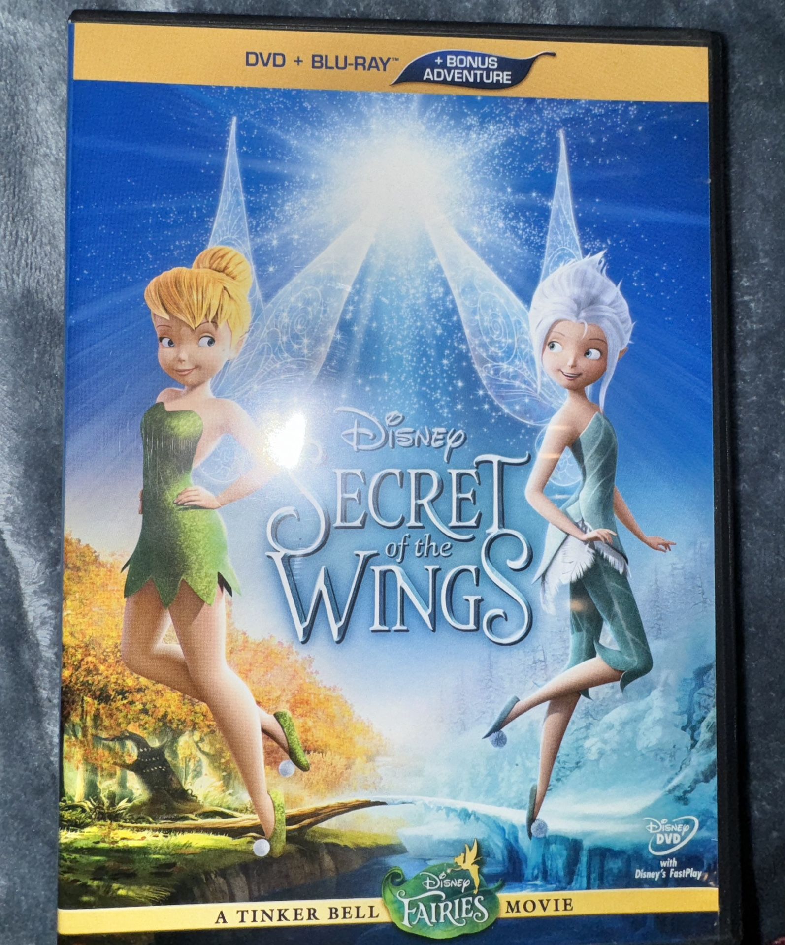 Secret Of The Wings