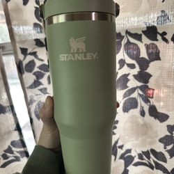 Pastel Green Stanley 