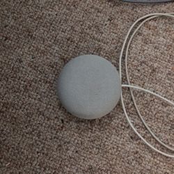 Google Nest $20