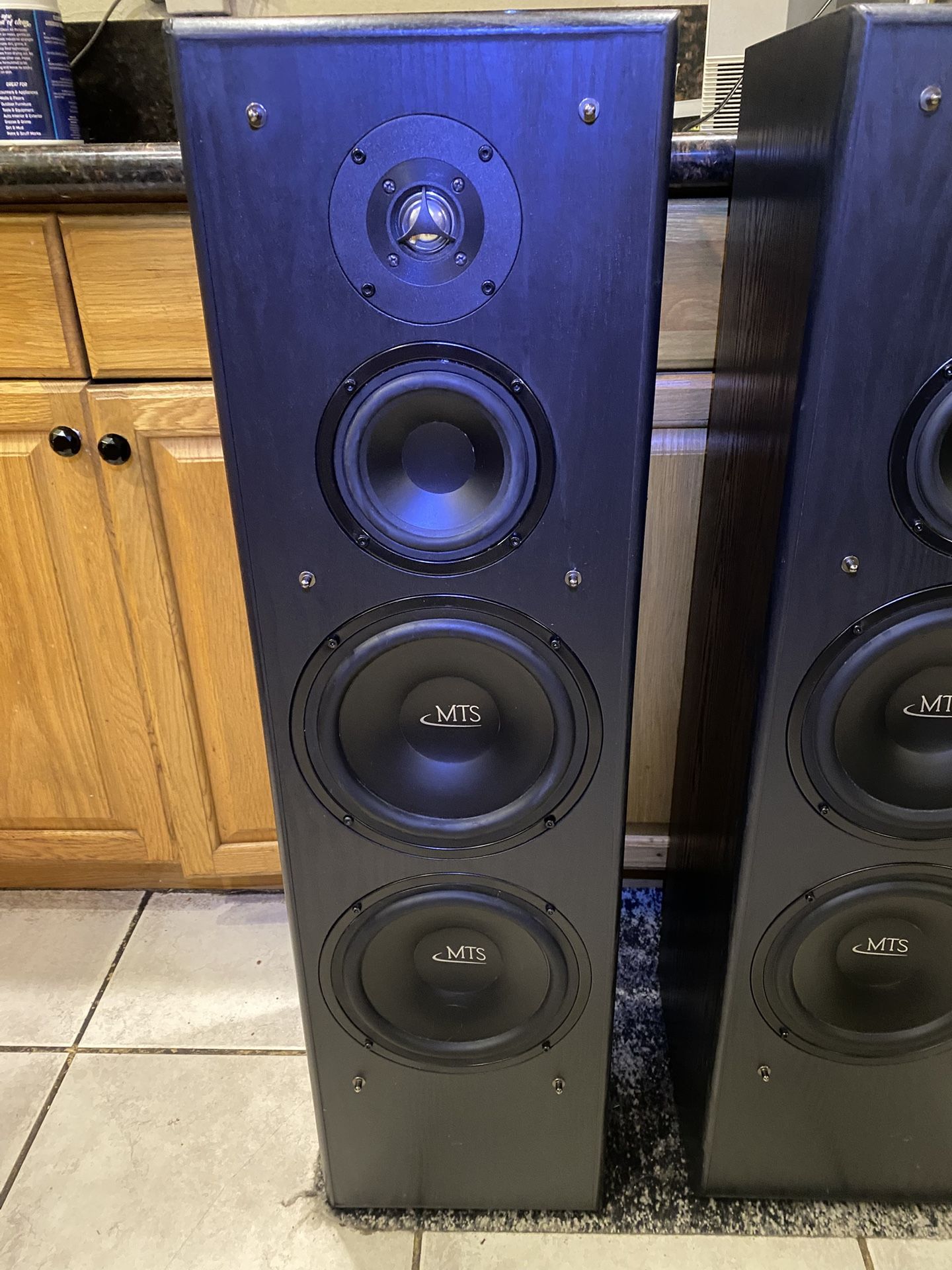 MTS Tower Floor Speakers 3.5 Way