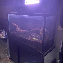 100 Gallon Fish Tank