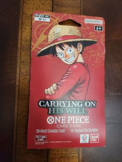 One piece 13